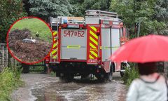 Fatalne skutki wichury. Spadło gniazdo bocianów