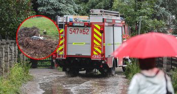 Fatalne skutki wichury. Spadło gniazdo bocianów