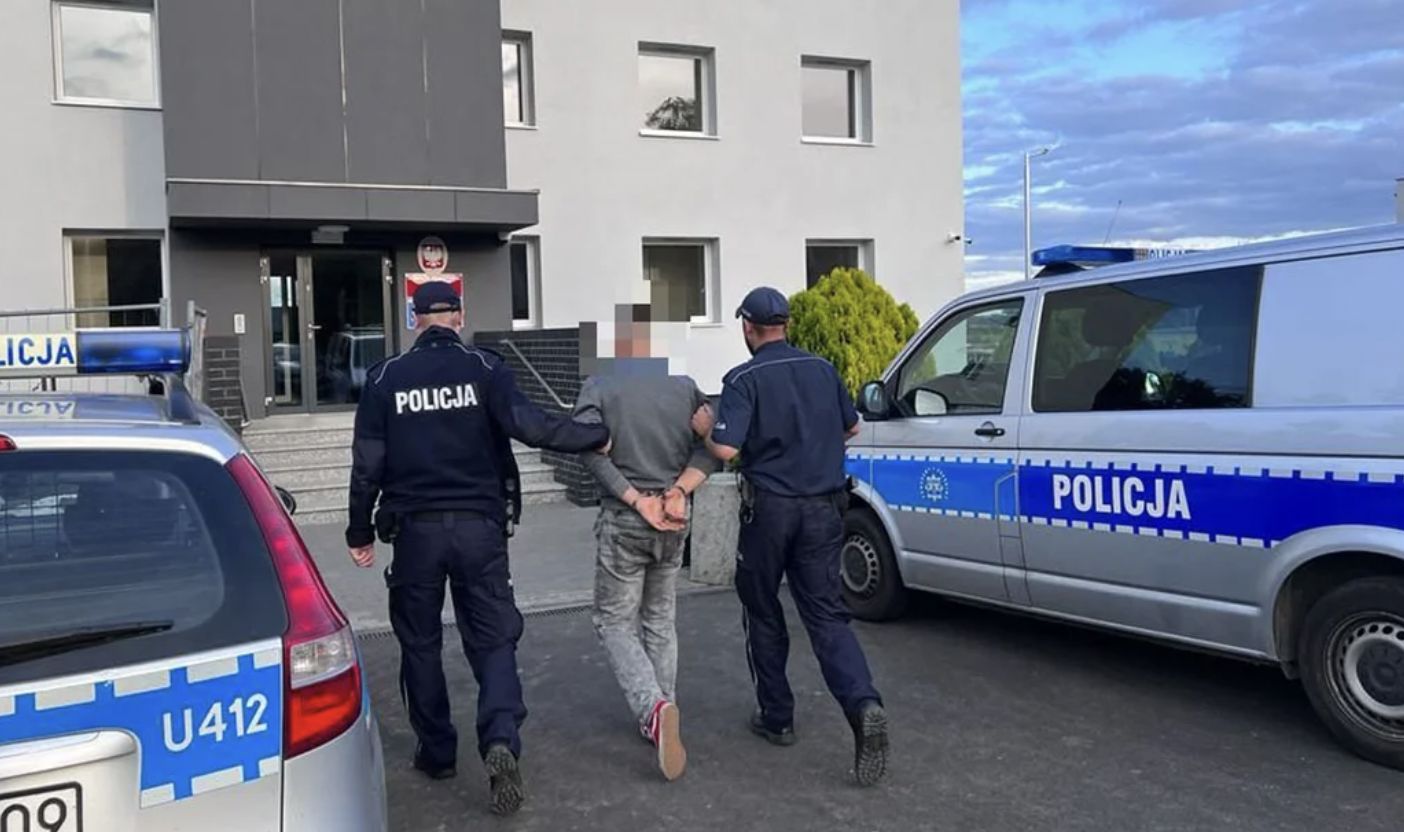 Policjanci z Gostynia zatrzymali mężczyznę, który porzucił stado 47 byków. 40 zwierząt padło z głodu