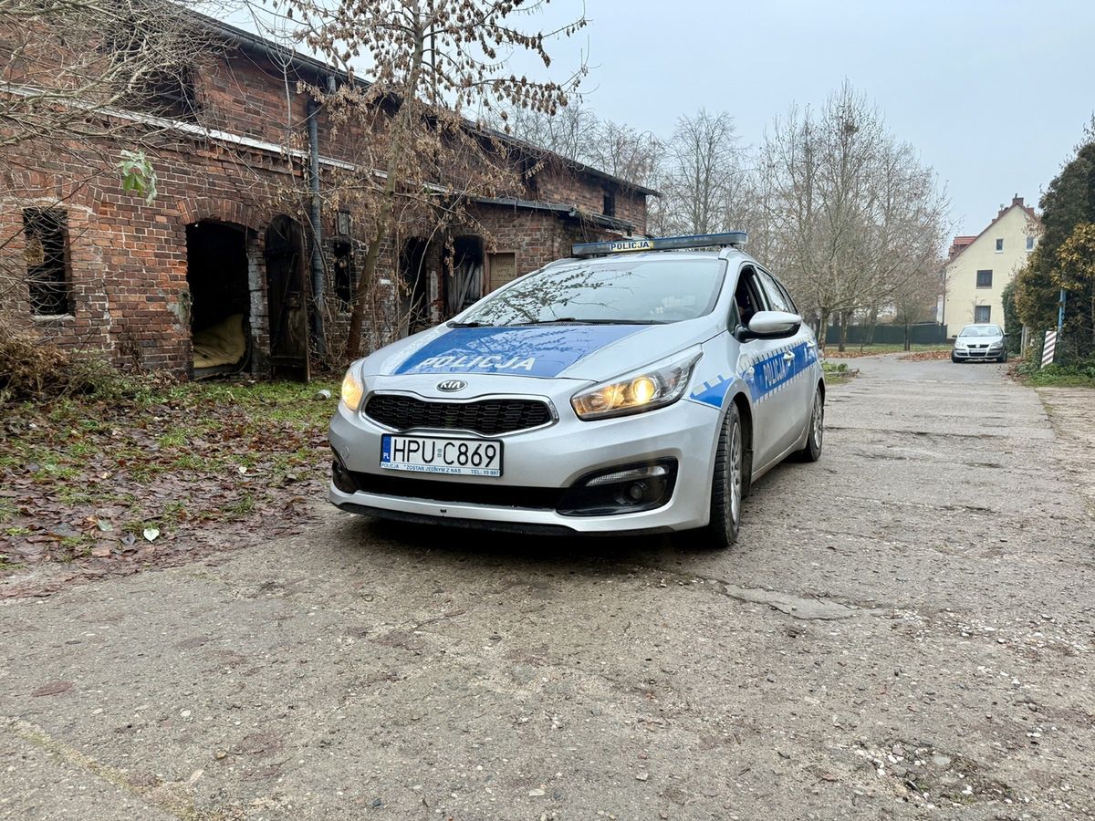 Mrozy wracają. Twoja reakcja może uratować komuś życie