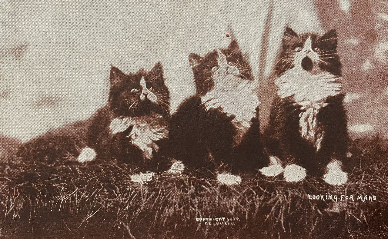 Zdjęcie na pocztówce, 1899 r.