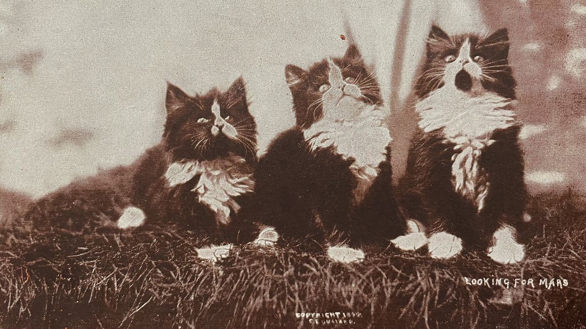 Zdjęcie na pocztówce, 1899 r.