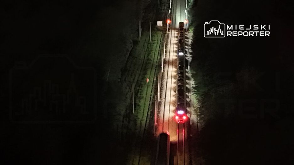 Pociąg towarowy porusza się po oświetlonych torach w nocy, otoczony zielenią.