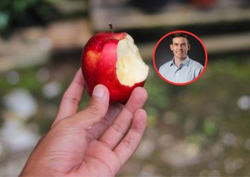 Często jedli jabłka. Takie mieli wyniki badań