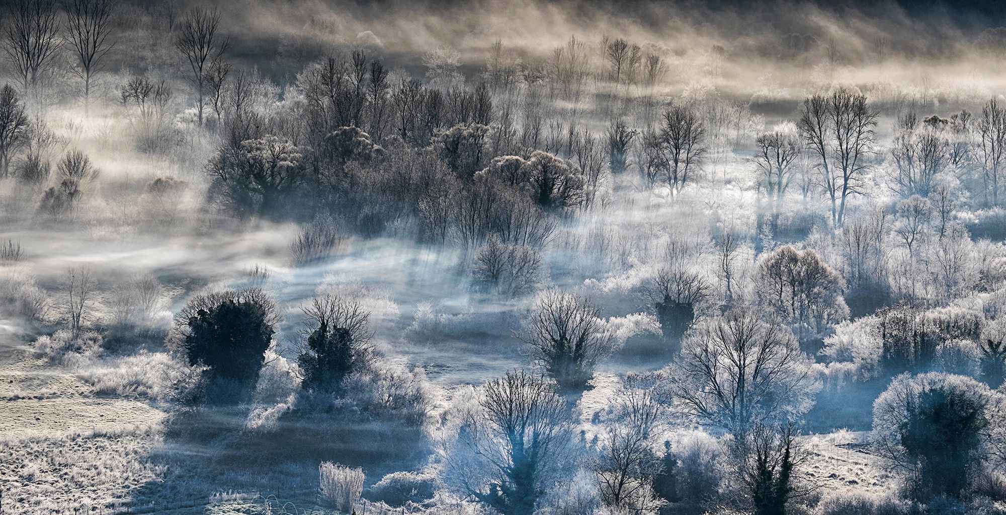 The Societies’ Photographer of the Year Awards 2016 - 44 ekspertów w jury, 10 tysięcy zdjęć, jeden zwycięzca 15