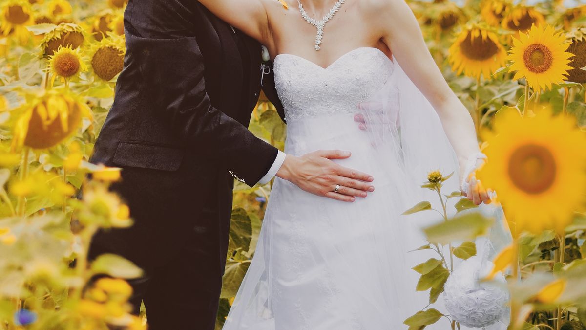 Sesja zdjęciowa w polu słoneczników skończyła się w szpitalu