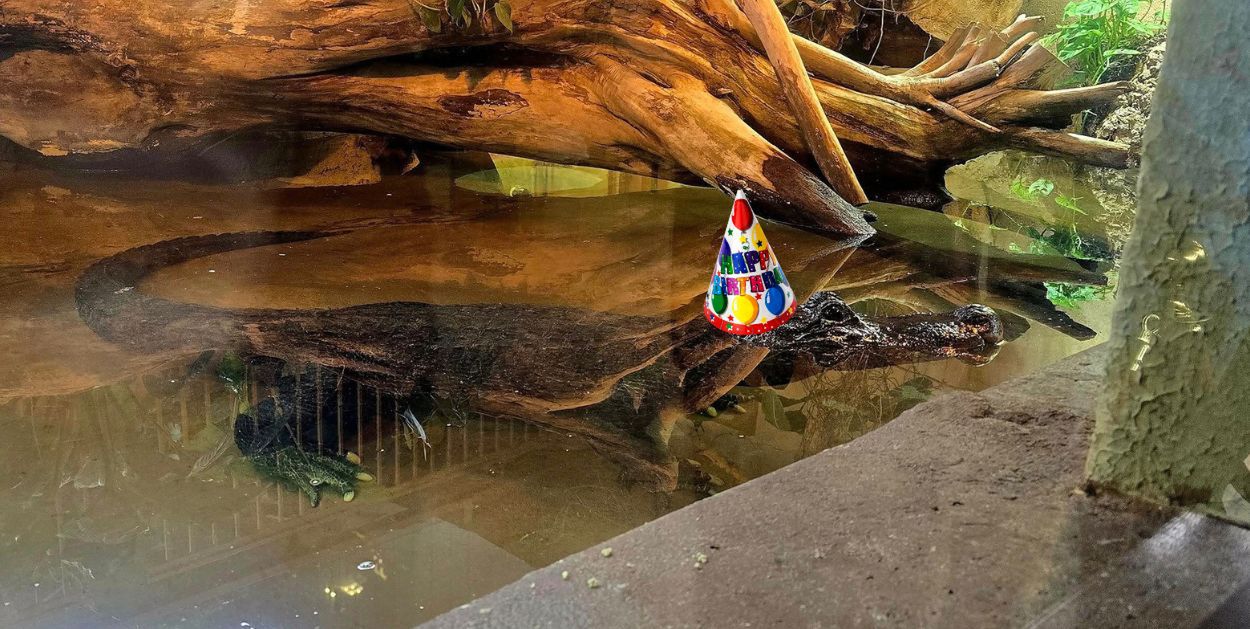 Marta skończyła 95 lat!