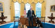 USA: incydent w Białym Domu. Psy Joe Bidena odesłane