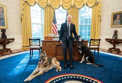 USA: incydent w Białym Domu. Psy Joe Bidena odesłane