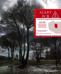 Mroźny front, silny wiatr i burze. Jest nowy alert pogodowy