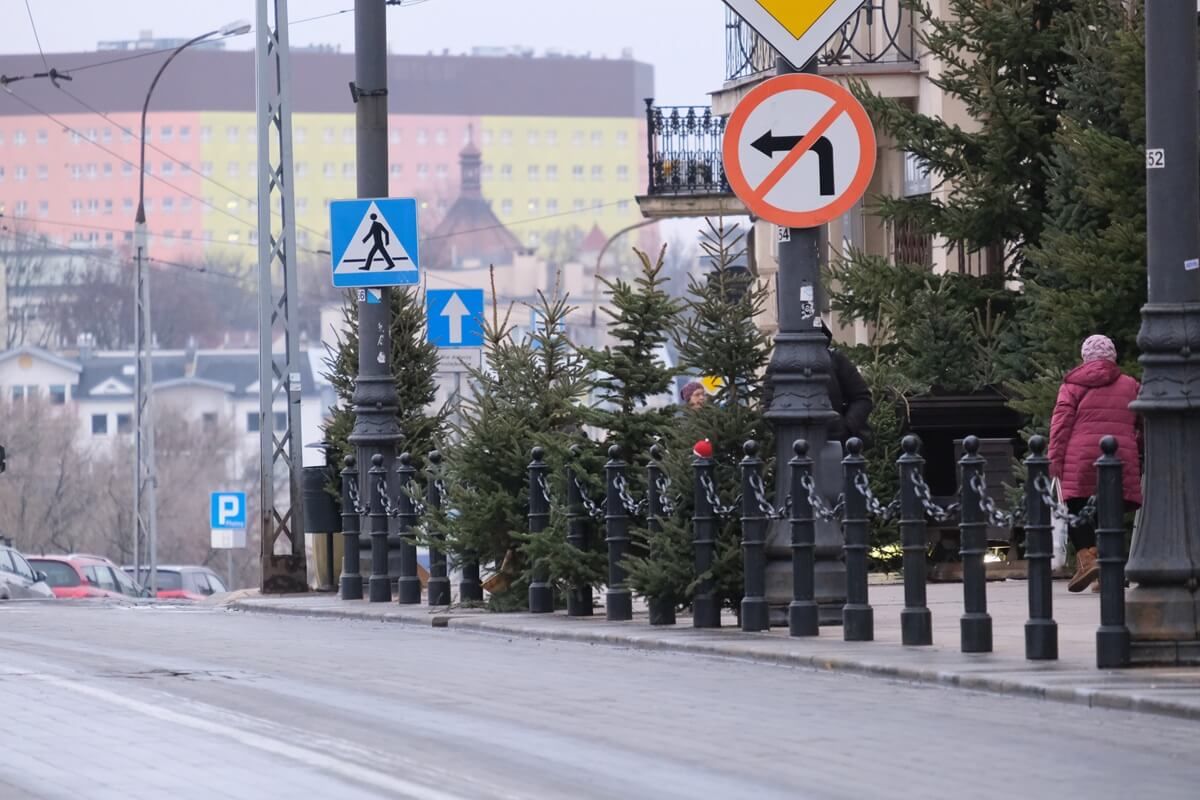 Choinki zasłaniające pieszych przy przejściu dla pieszych na ul. Lubartowskiej