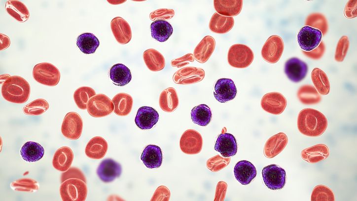 Apoptoza to śmierć komórek w organizmie.