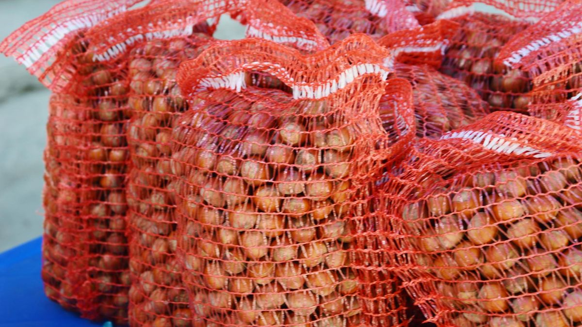 Orzechy to prosty sposób na wsparcie serca i naczyń krwionośnych