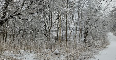Z takim mrozem nie ma żartów! Ostrzeżenie IMGW dla całego województwa lubelskiego – 18.02.2025