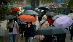 Ile trzymać gotówki na wypadek kryzysu? Ekspertka szacuje