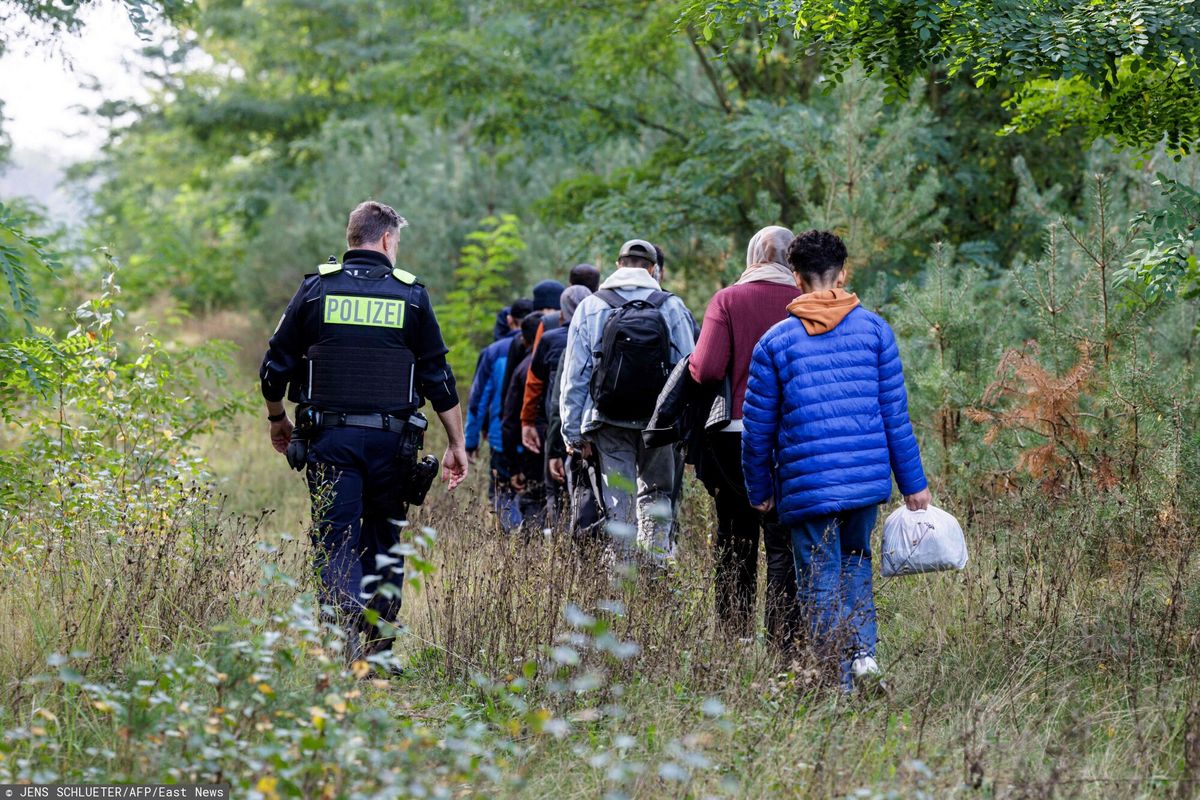 Niemiecki patrol kontroluje nielegalnych migrantów na granicy z Polską. Zdjęcie ilustracyjne