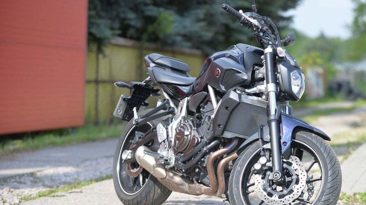 Zdjęcie ilustracyjne do artykułu