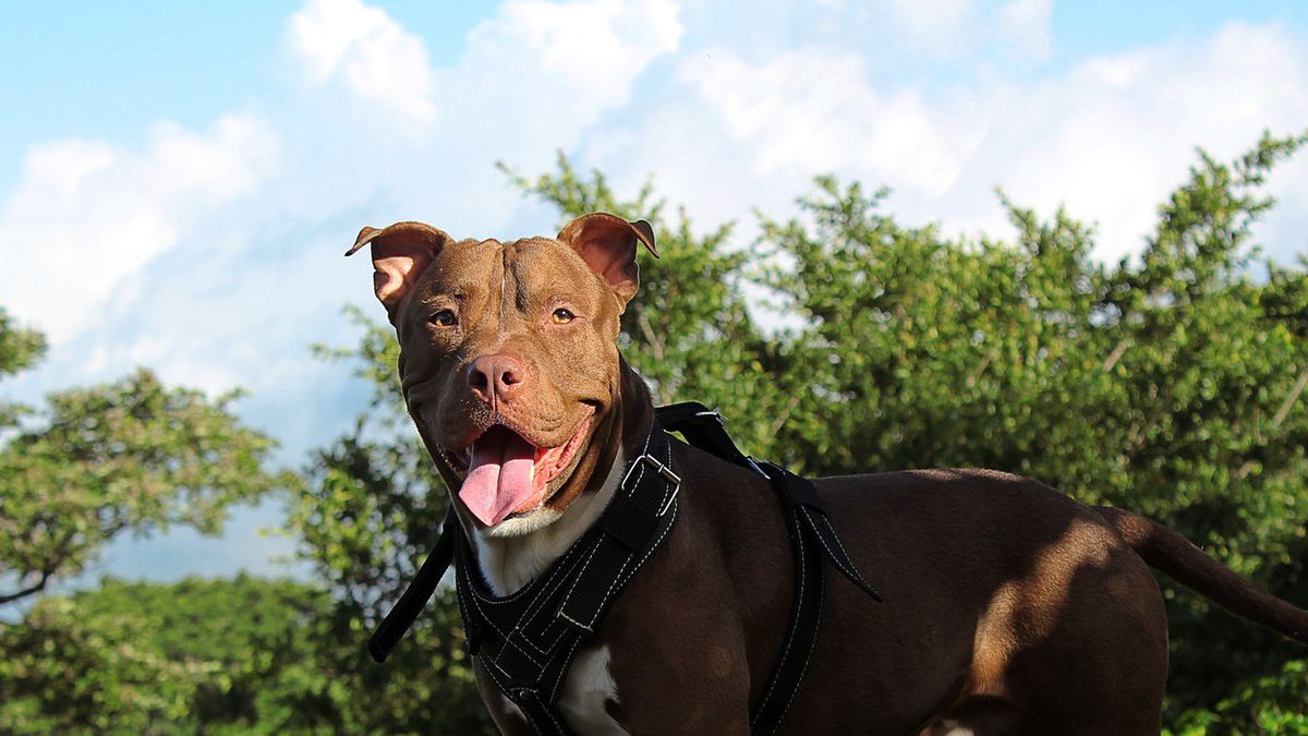 Zdjęcie ilustracyjne.