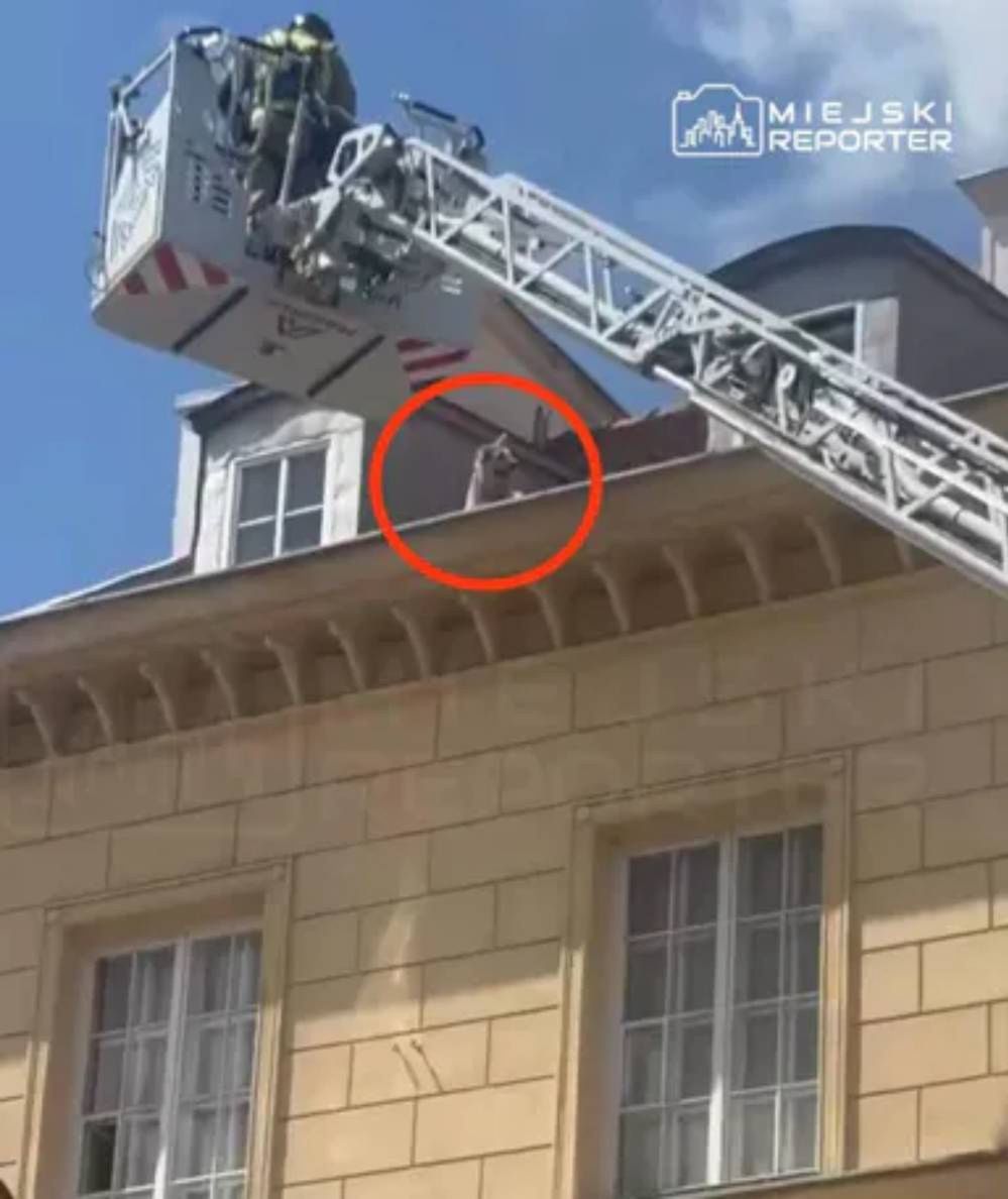 Niecodzienna akcja na Nowym Świecie. Piesek biegał po dachu kamienicy. Został uratowany przez strażaków