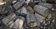 Horrendalne ceny drewna opałowego. "Taniej porąbać meble i spalić"