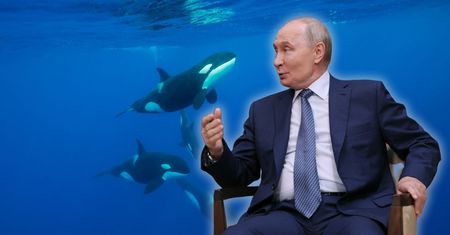 Putin znów uzasadnia wojnę w Ukrainie. "Taki jest łańcuch pokarmowy"
