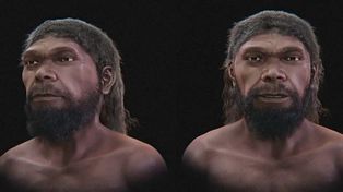 Tak wyglądał pierwszy Homo sapiens? Naukowcy odtworzyli jego twarz
