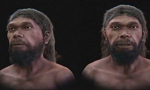 Tak wyglądał pierwszy Homo sapiens? Naukowcy odtworzyli jego twarz