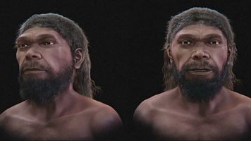 Tak wyglądał pierwszy Homo sapiens? Naukowcy odtworzyli jego twarz