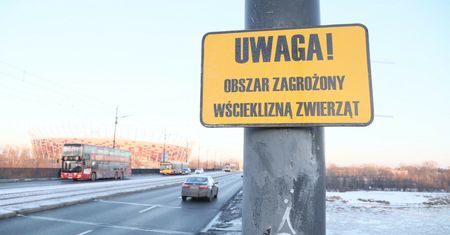 Policja rozdaje mandaty za psy. Oto czego trzeba unikać