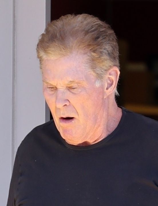 David Hasselhoff
