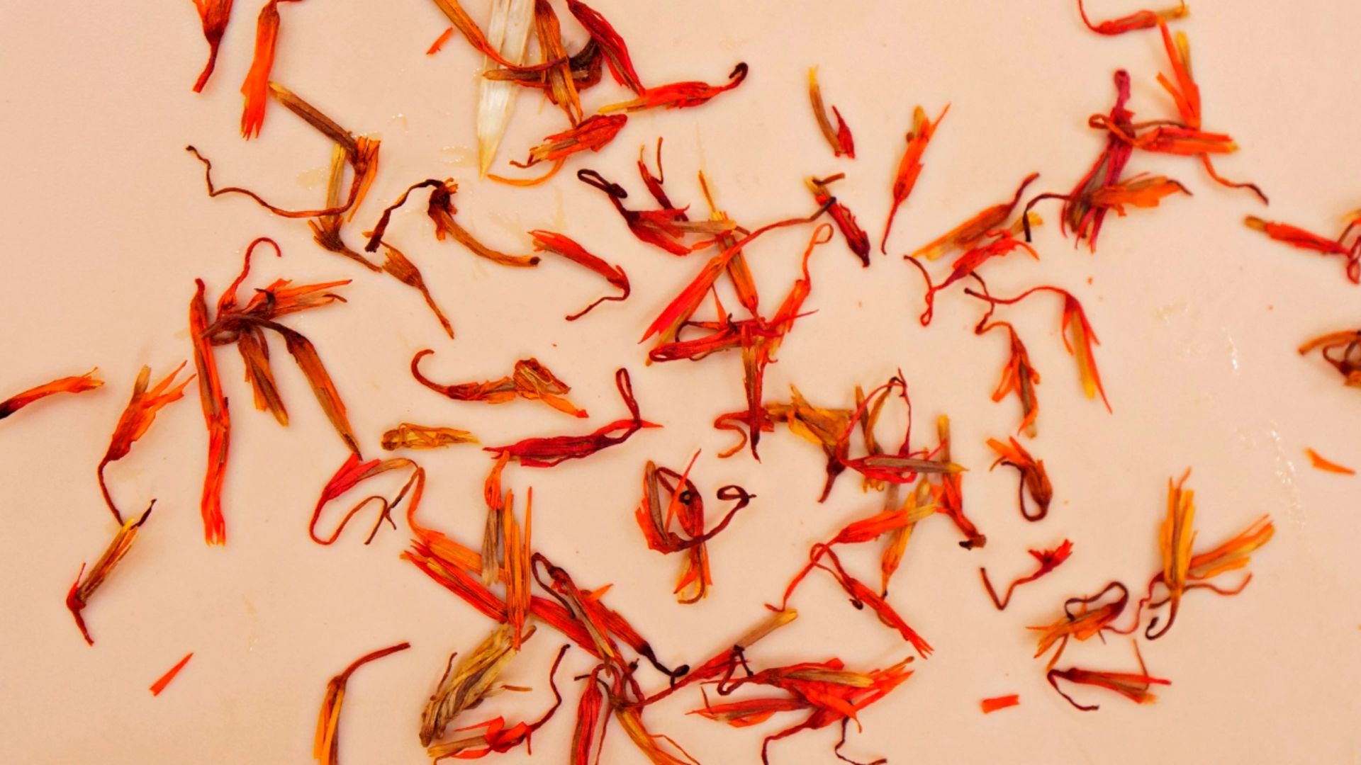 Szafran to jedna z najbardziej niezwykłych przypraw świata.