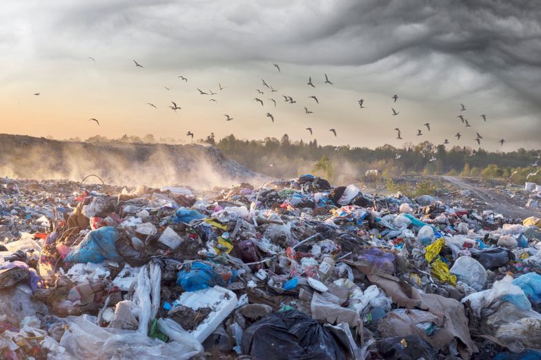 Postaw na ekologię i pomóż planecie. Zbliża się szczyt klimatyczny TOGETAIR 2023