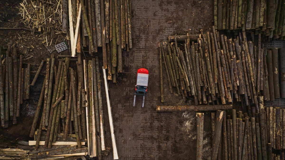 Branża meblarska ma problemy. Powodem wysokie ceny drewna 