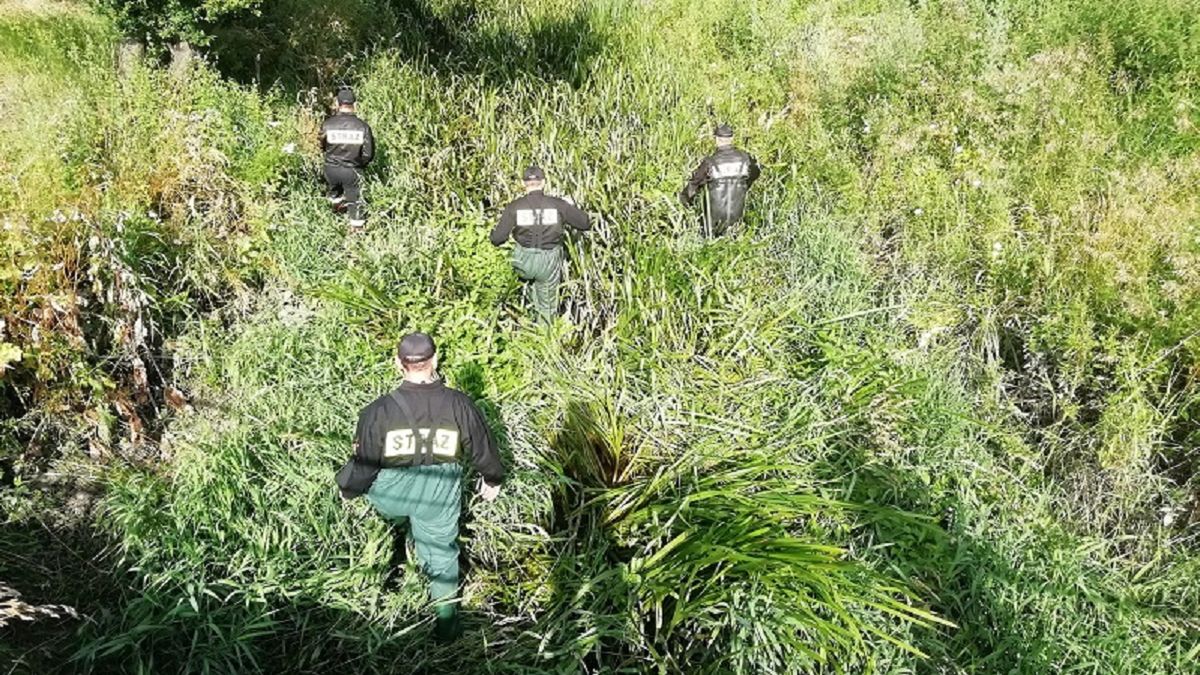 Odnaleziono zwłoki 65-letniego mężczyzny, który był poszukiwany od 6 lipca. 