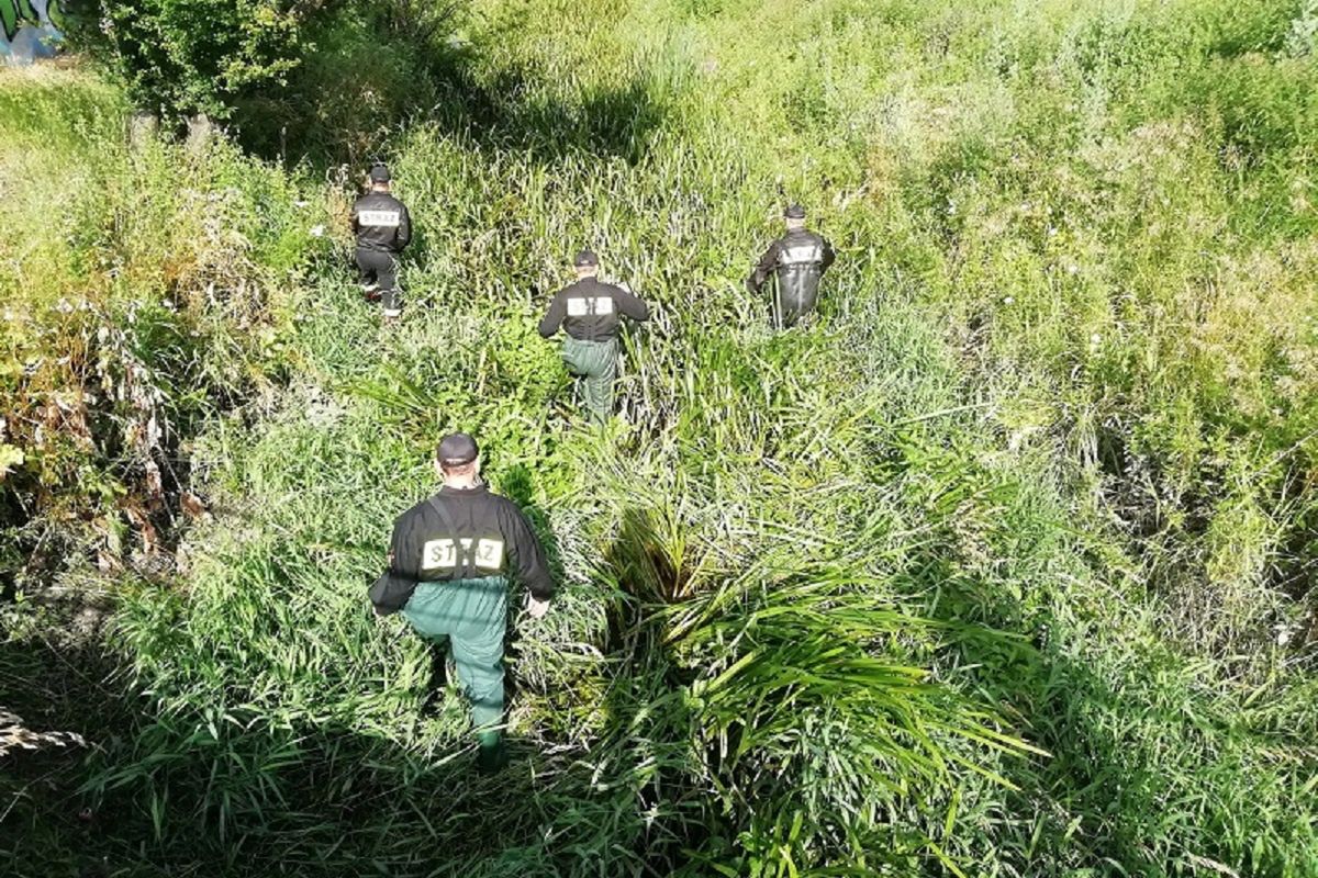 Policja przeczesała teren w Łódzkiem. Makabryczne odkrycie