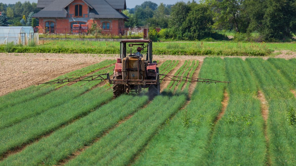 Glifosat wykorzystywany jest do oprysków pól uprawnych zbóż przeznaczonych do produkcji żywności dla ludzi oraz pasz dla zwierząt.