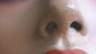 Nos - organ do komunikacji i do kierowania pojazdem 1