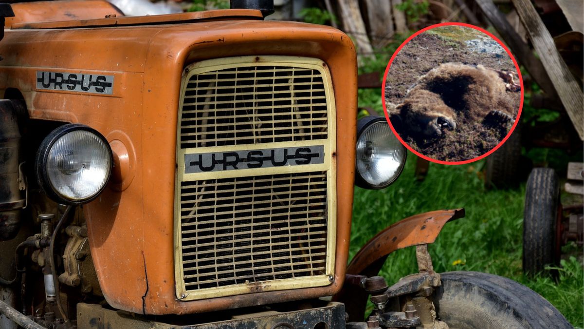 Strona internetowa Ursusa została przejęta przez hakerów? 