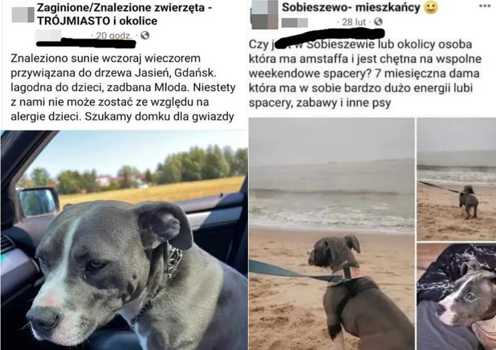 Internauci bardzo szybko zdemaskowali kobietę