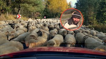 Zaczyna pracę, gdy większość z nas śpi. "Młodzi wolą iść do innej roboty"