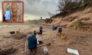 Wyszli na spacer z psem. Znaleźli tajemnicze ślady