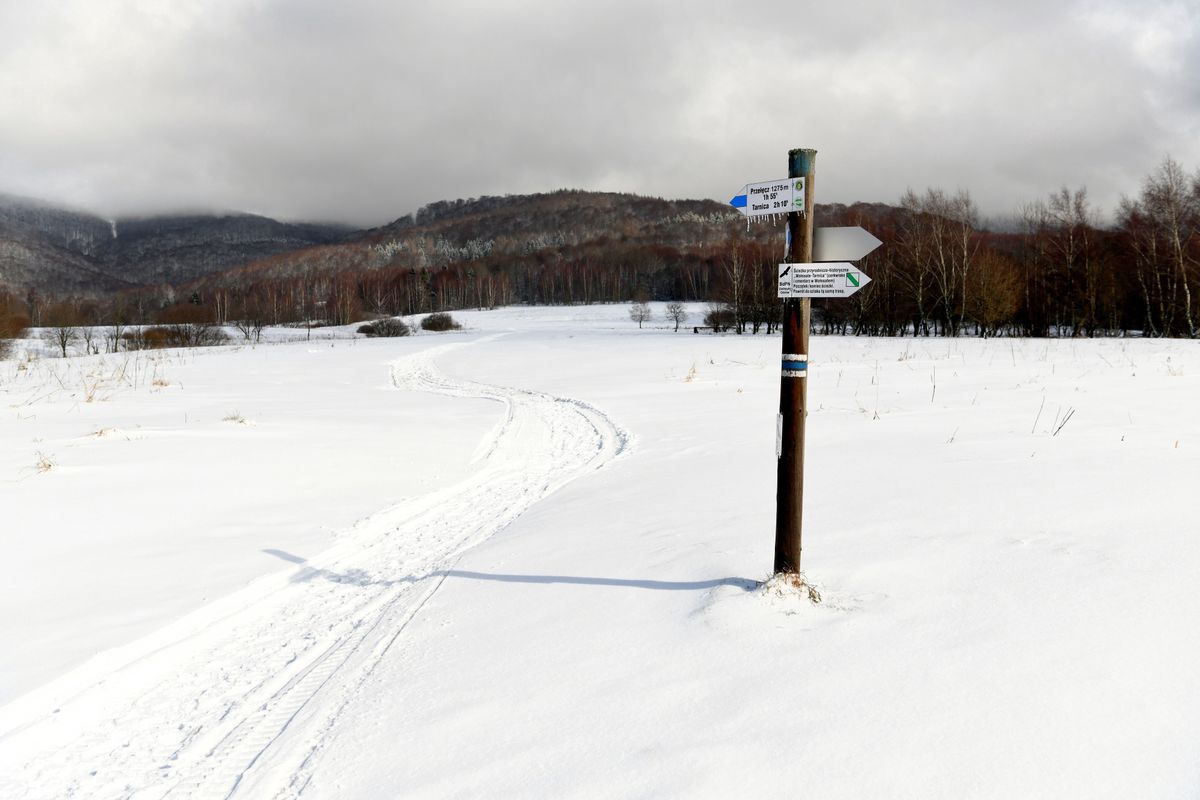 Karkonosze. Nie żyje narciarz przysypany przez lawinę. Był reanimowany