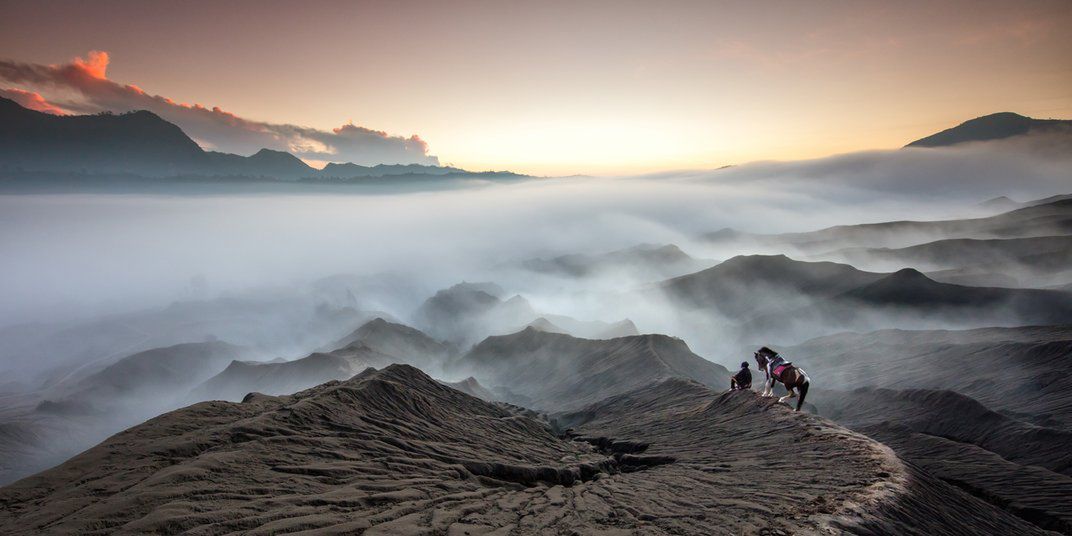 Arek Rataj wśród finalistów konkursu Smithsonian Photo Contest 2016 5