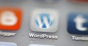 WordPress ma problem z wtyczkami i motywami. Są pełne backdoorów