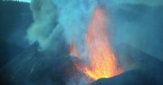 La Palma. Dramat zwierząt uwięzionych przez lawę