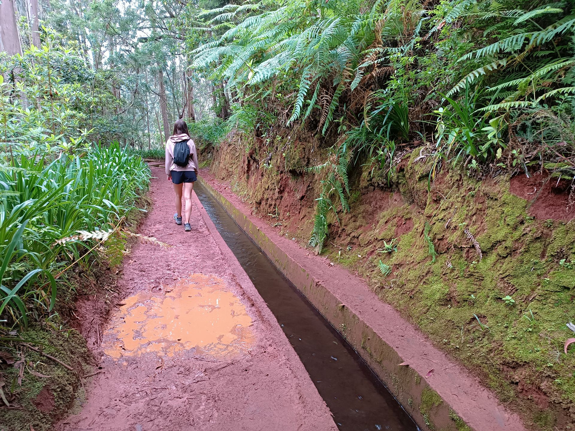 PR 18 Levada do Rei