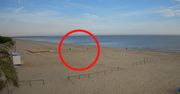 6:53 na plaży w Jantarze. Jeden obok drugiego. Spójrzcie