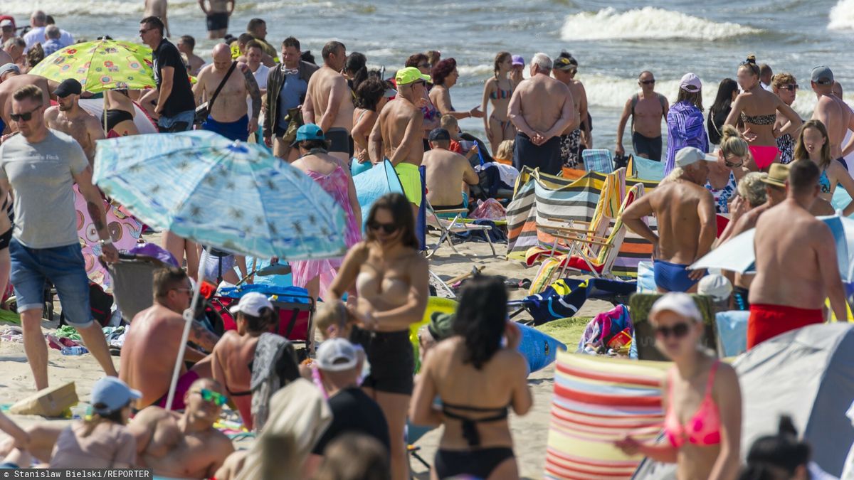 T?umy turyst�w na pla?y w Stegnie
09.06.2023 Stegna - Mierzeja Wislana N/z tlumy turystow na plazyFot. Stanislaw Bielski/REPORTER
Stanislaw Bielski/REPORTER