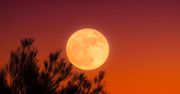 Zbliża się wyjątkowa pełnia Księżyca. Kochankowie nie będą wobec niej obojętni