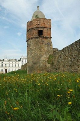 Obraz
